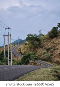 A road with a tree on the side of it. The road is curvy and has a hill in the background