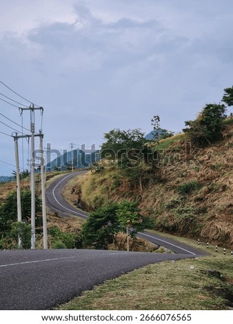 A road with a tree on the side of it. The road is curvy and has a hill in the background