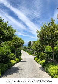 Road with trees and clouds