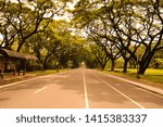 road and trees inside the campus