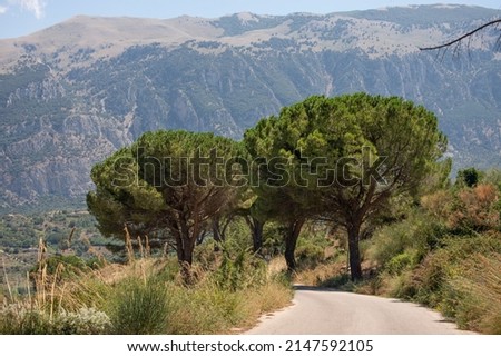 Road, trees and mountains at Madonie Regional Natural Park (Parco delle Madonie). Palermo, Sicily, Italy.