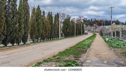 Road with trees on the side