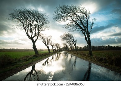 Road with trees in a stormy weather with rain and wind, empty street in Romo, Denmark in the winter, dark dramatic clouds
					