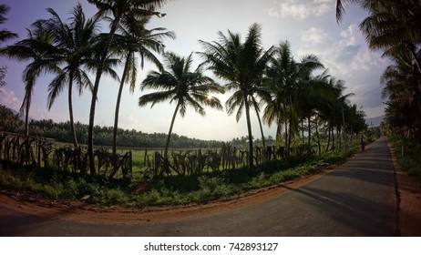Road Trip
