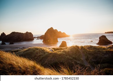 Road Trip Along The Pacific Northwest Coast. 