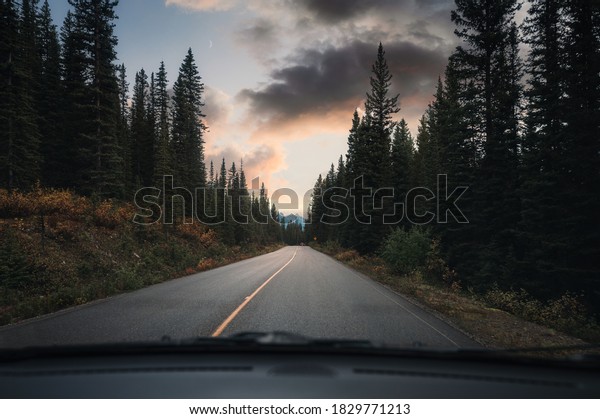 Road trip car driving on highway in\
pine forest on evening at Banff national park,\
Canada