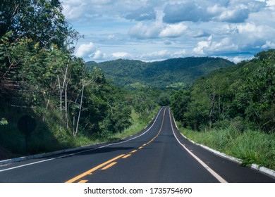 road trip in Goiás - empty road surrounded by trees