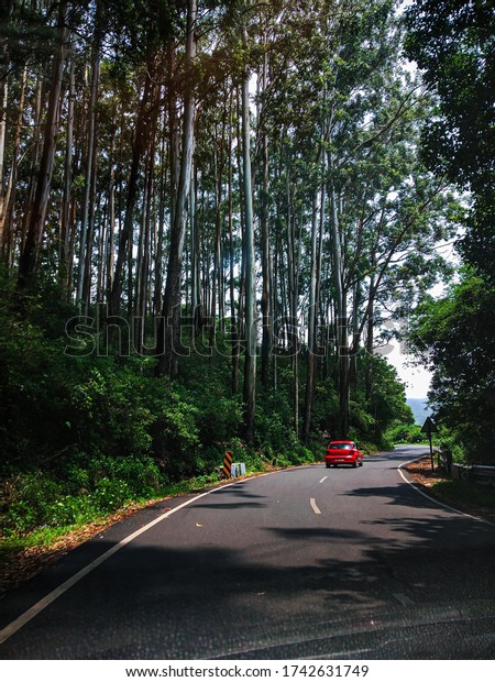 road trip leading way\
to heaven of Ooty