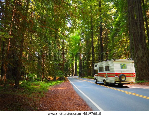 Road Trip Motor Home Driving through Lush, Green\
Redwood Forest