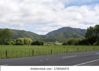 Road Trip In New Zealand