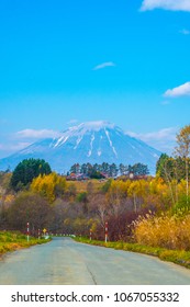 Road Trip And See Beautiful Active Volcano Of Mount Yotei. Active Volcano Of Mt. Totei In Hokkaido, Japan. Golden Forest In The Autumn With Volcano Background In The Back. 