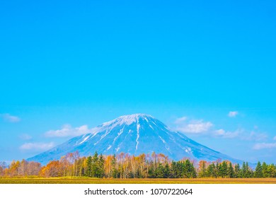 Road Trip And See Beautiful Active Volcano Of Mount Yotei. Active Volcano Of Mt. Totei In Hokkaido, Japan. Golden Forest In The Autumn With Volcano Background In The Back. 