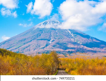 Road Trip And See Beautiful Active Volcano Of Mount Yotei. Active Volcano Of Mt. Totei In Hokkaido, Japan. Golden Forest In The Autumn With Volcano Background In The Back. 