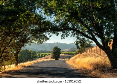 Road Trip Through Sonoma Wine Country At Harvest Time 