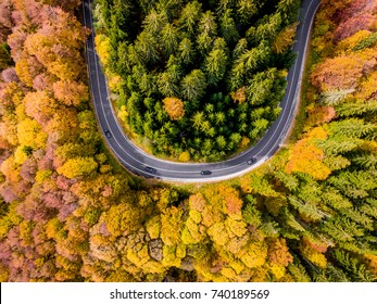Road trip trough the woods in the middle of the autumn