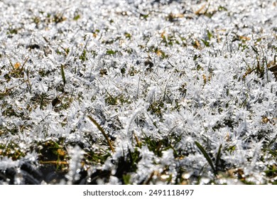 Road trip, Winter, Snowflake and frost over grass and wild flower, Lake Tekapo, Canterbury, New Zealand, South Island  - Powered by Shutterstock