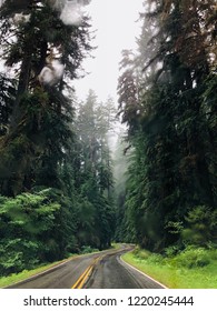 Road Tripping Through The Forests Of The Pacific Northwest (Olympic National Park)