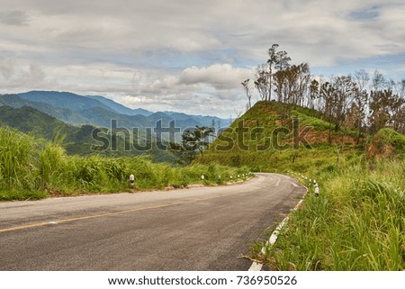 Road in to the tropical rainforest.
