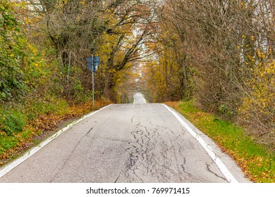 Road To Vanishing Point Running Though Fall Colors On Hills Near Bologna In Italy