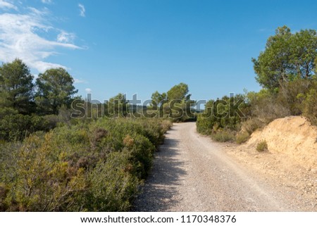 The road of the via augusta under the blue sky, castellon, Spain