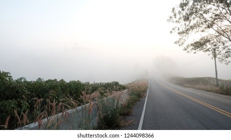 road view point