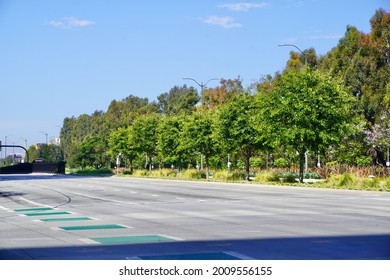 Road View Of Santa Monica Blvd 