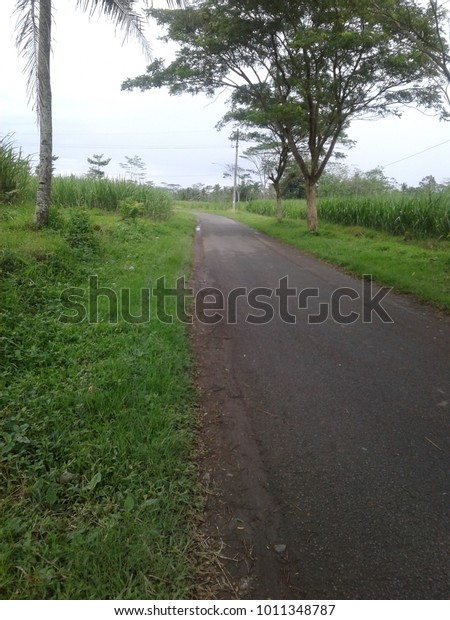 road view side in the village\
