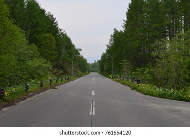 The road viewing with forest background