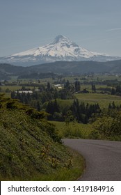 Road Views Of Mt Hood Over The Hood River Valley In Oregon