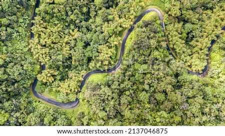 Road in the volcano Montagne Pelée in Martinique high 1397 m, located in the northern part of the island
