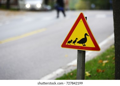 Road Warning Sign Ducks Passing Road Stock Photo 727842199 | Shutterstock