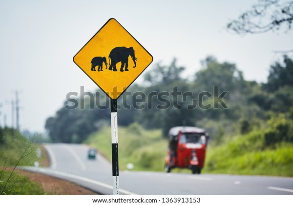 Road warning sign for elephant crossing
road against traffic with tuk tuk, Sri
Lanka