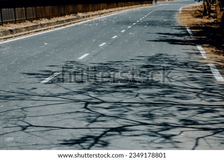 Road with white lines with tree shadow background transport in road a trip