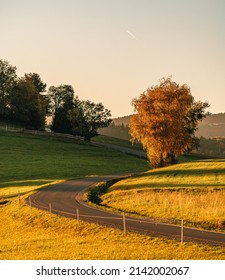 A Road Winding Around A Beutiful Orange Tree In The Sunset 