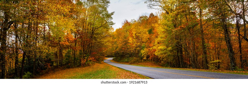 Road  winding through  colorful  autumn forest. Blue Ridge Parkway fall season. North Carolina, USA. Image for banner or web header.