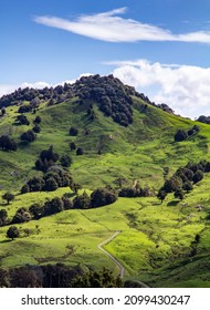 Road Winding Through Green Hills Of Rural Farm Land In Northland New Zealand