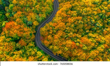Road winding its way up through thick forest