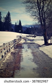Road in winter
