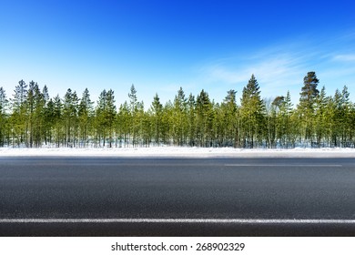 Road In Winter Forest