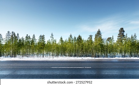 Road In Winter Forest