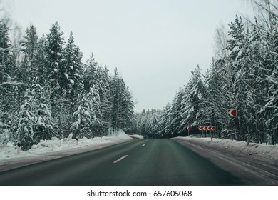 Road in the winter forest