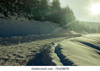 road in the winter forest