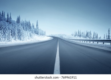 Road In Winter Forest