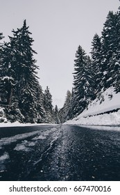 Road In Winter. Forest Road, Dark Image Because Of The Weather Conditions. Very Low Vantage Point Of View