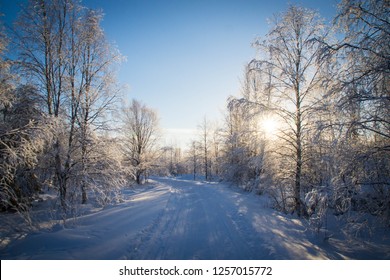 Road In The Winter Forest, Vaattunki, Finland