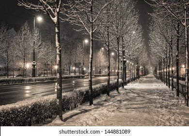 Road In The Winter Night