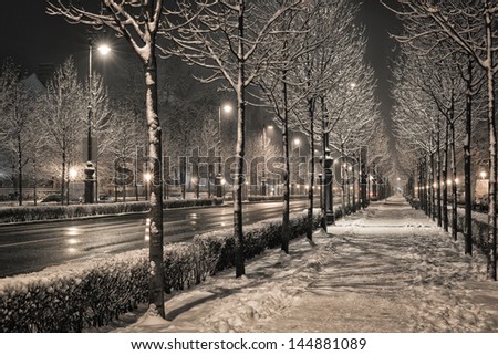 Road in the winter night
