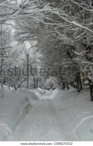 Road in winter\
town