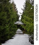 road winter tree