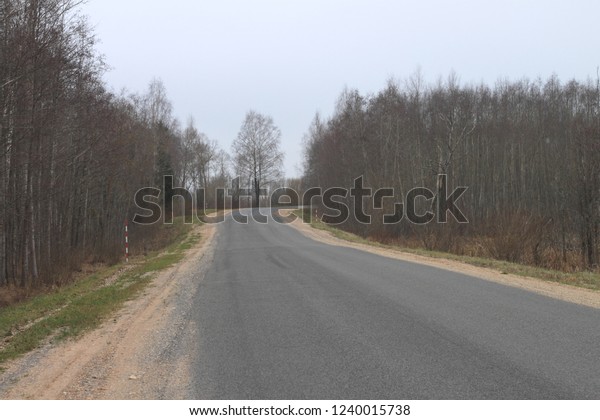 road in the\
woods in autumn with hard\
surface